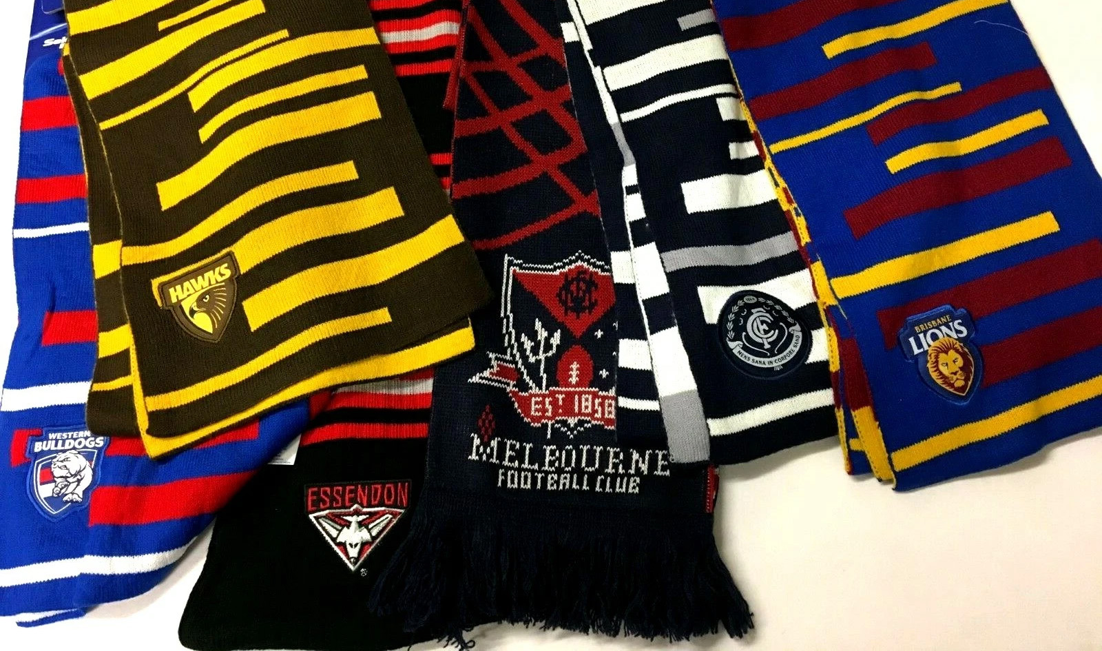 Featured image for “Footy Day Celebration”