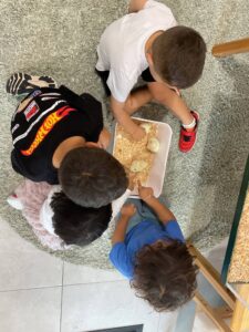 Chicks hatching at Elimatta
