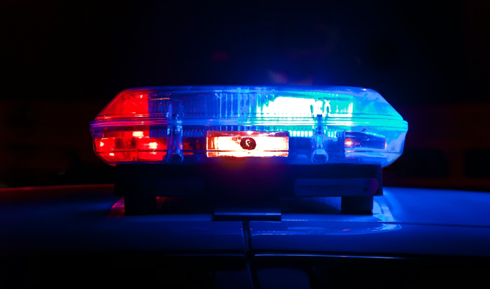 Featured image for “Police Incursion”